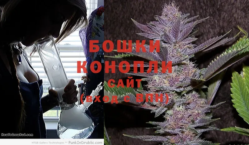 Бошки Шишки White Widow  Кстово 